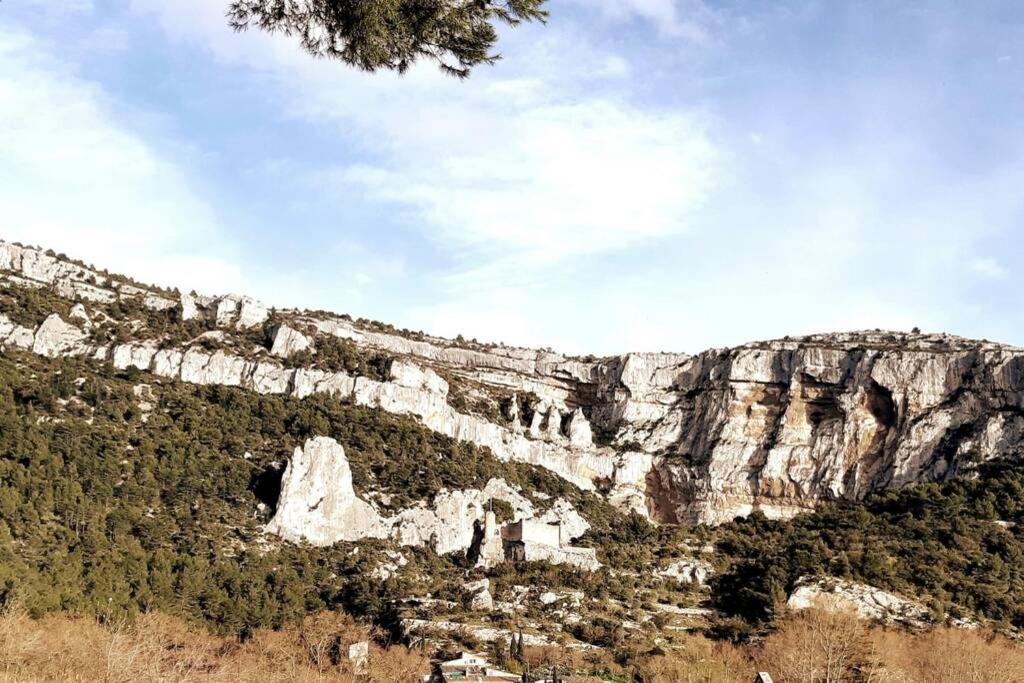 Vue Panoramique Sur Le Chateau,Montagne Et Grottes Fontaine-de-Vaucluse Luaran gambar