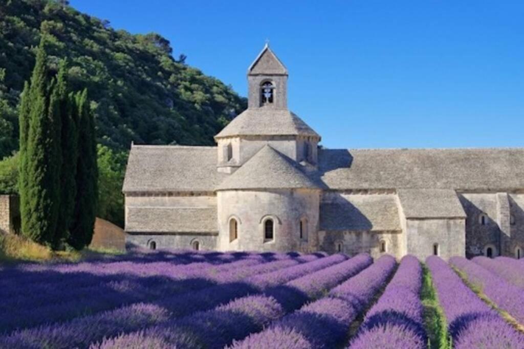 Vue Panoramique Sur Le Chateau,Montagne Et Grottes Fontaine-de-Vaucluse Luaran gambar